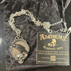 Alchemy Gothic Silver Raven Skull Necklace